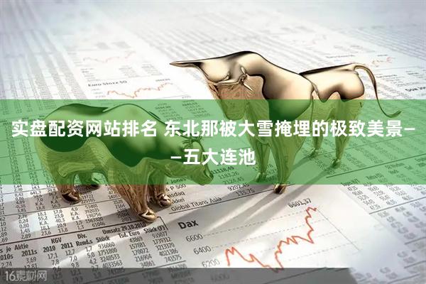 实盘配资网站排名 东北那被大雪掩埋的极致美景——五大连池